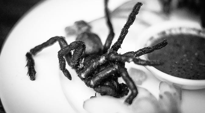 Thanksgiving in Cambodia